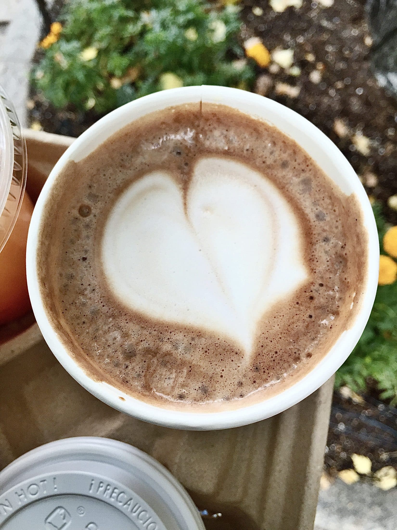 currently crushing on