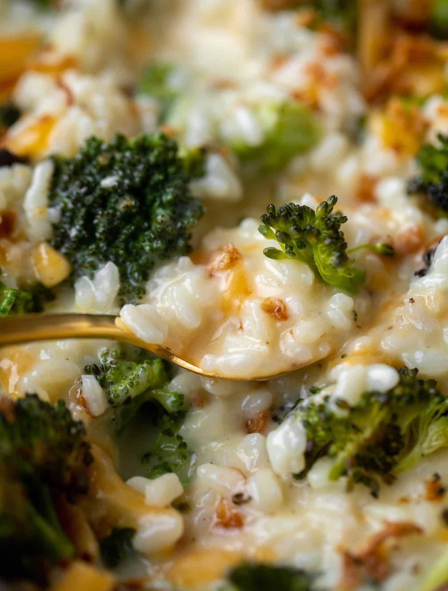 roasted broccoli cheddar risotto with crispy onions