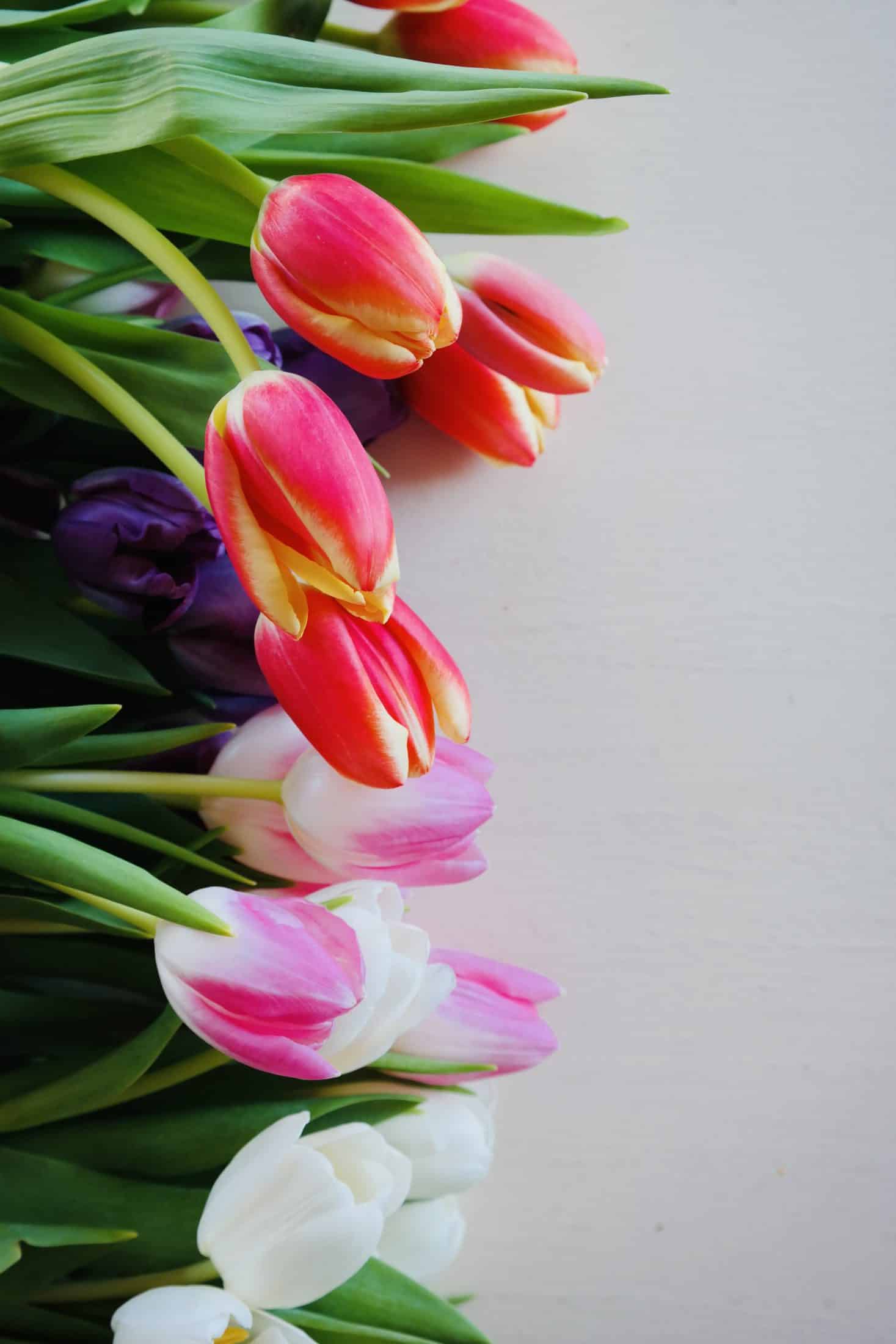 currently crushing on