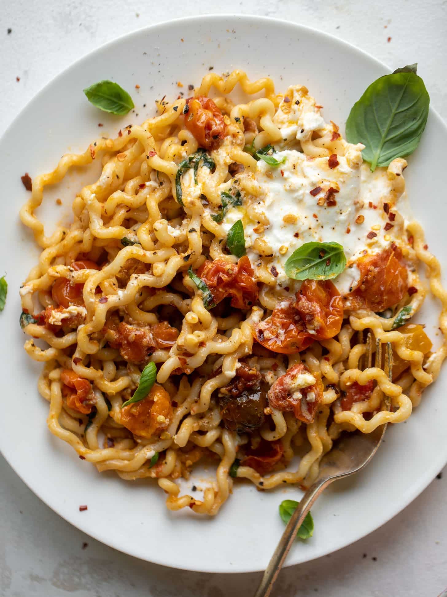 burst tomato burrata pasta