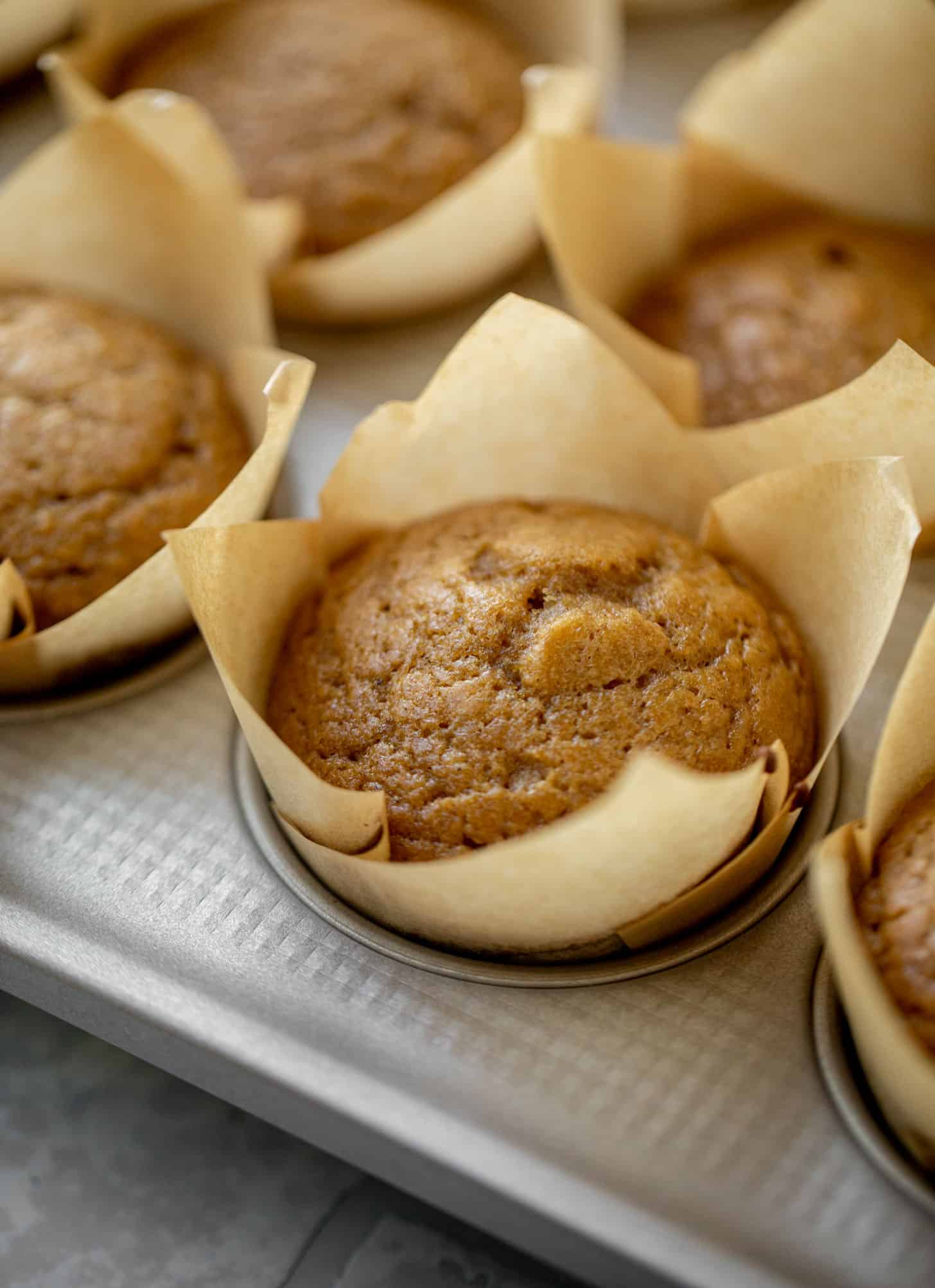 pumpkin dream cupcakes
