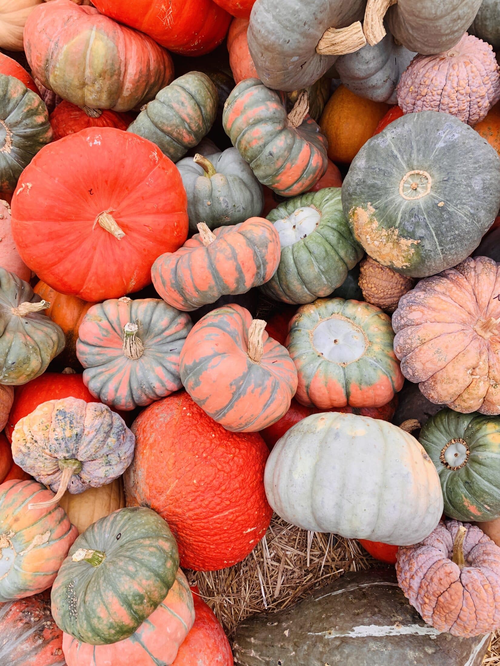 currently crushing on