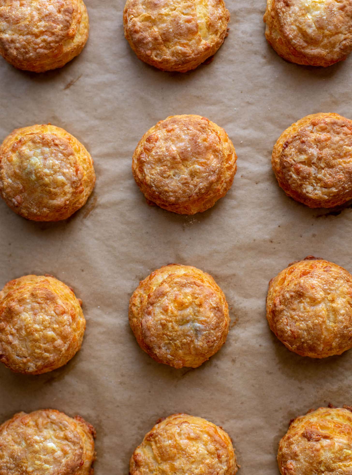 smoked cheddar sour cream biscuits