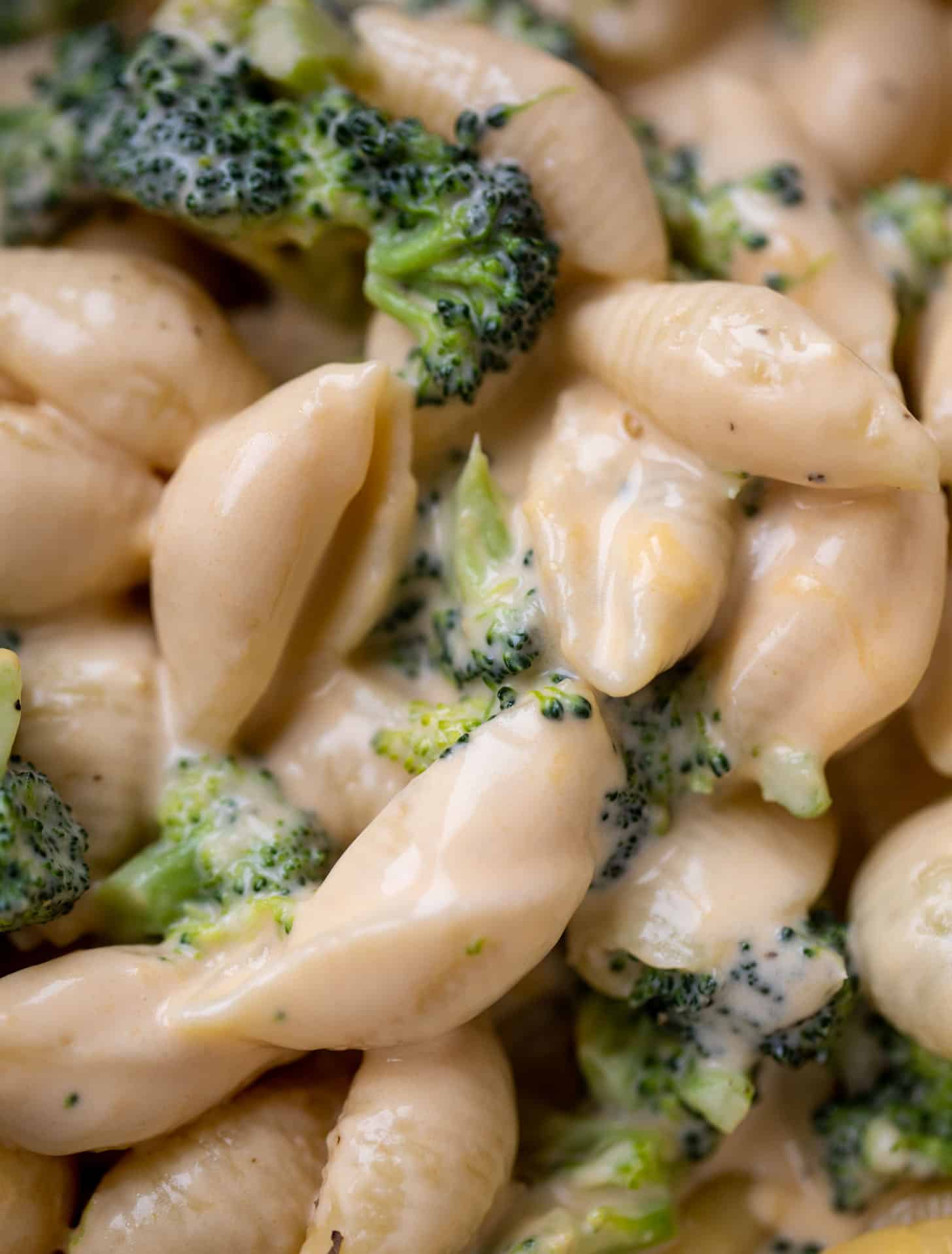 broccoli shells and cheese