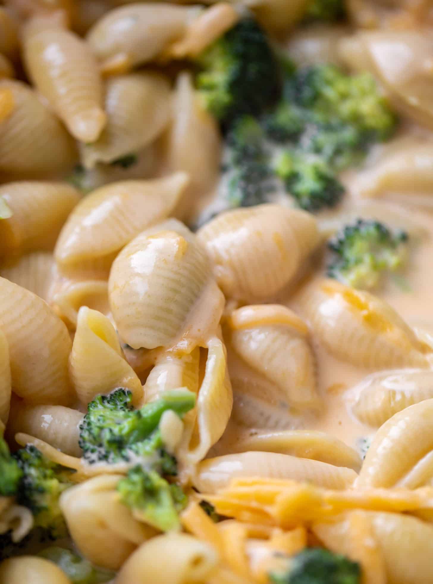 broccoli shells and cheese