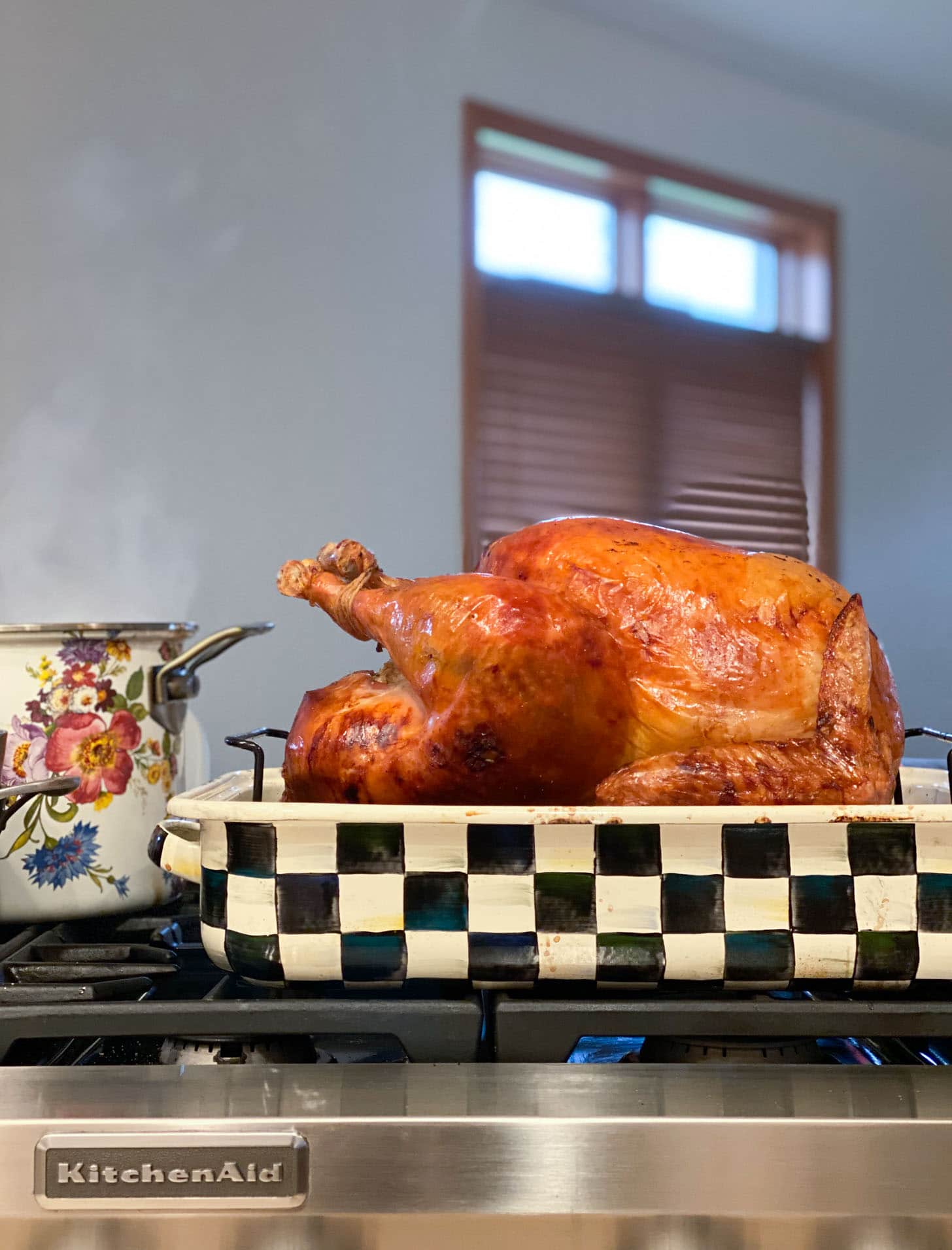 turkey in a roasting pan