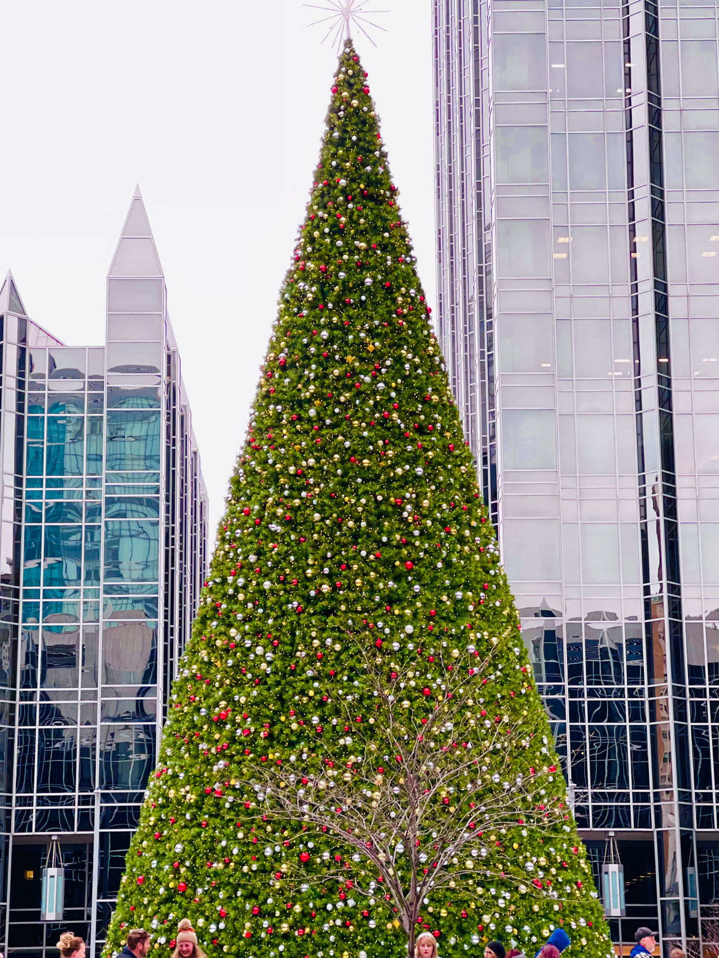 currently crushing on