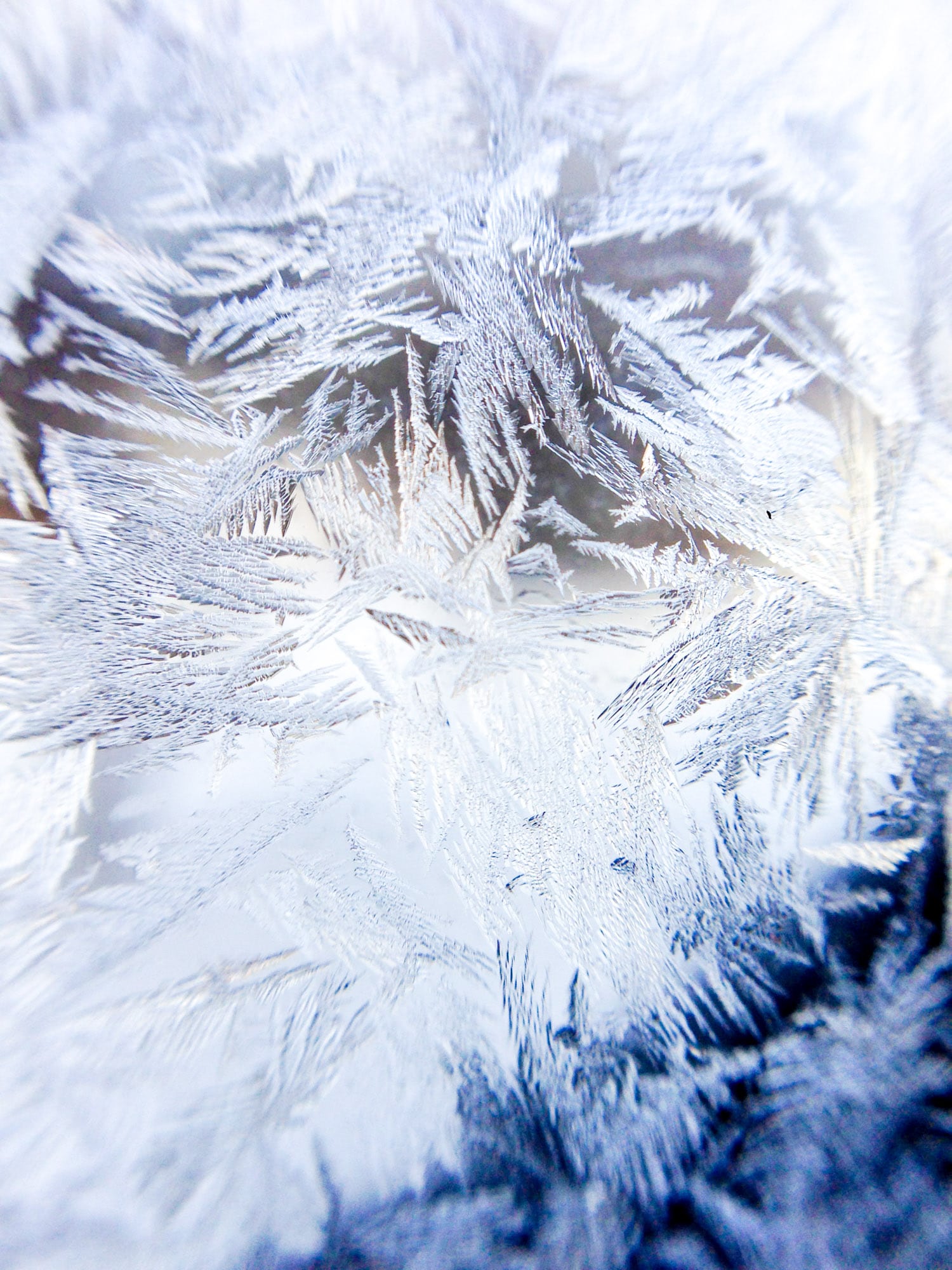 currently crushing on