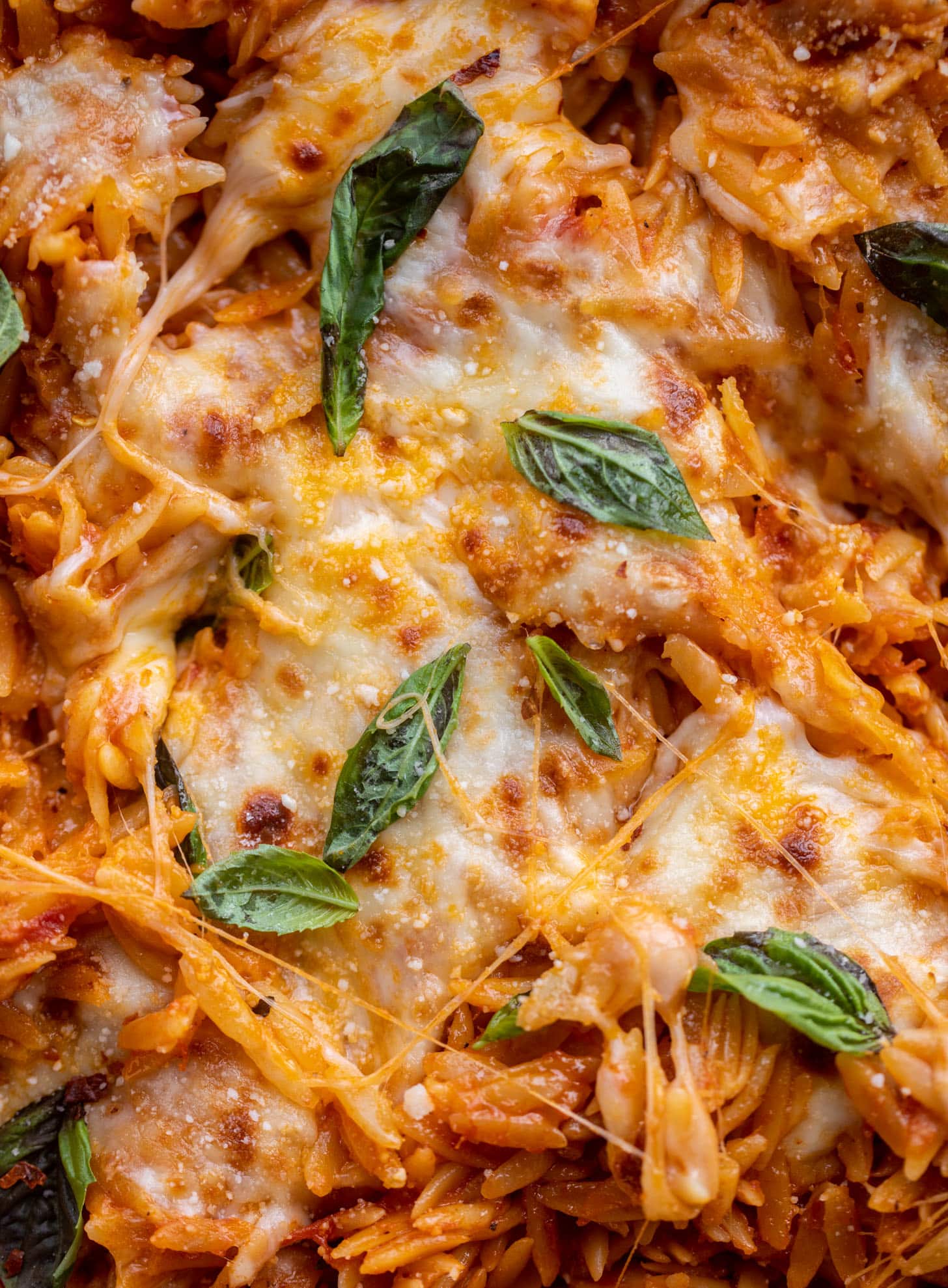cheesy tomato basil baked orzo