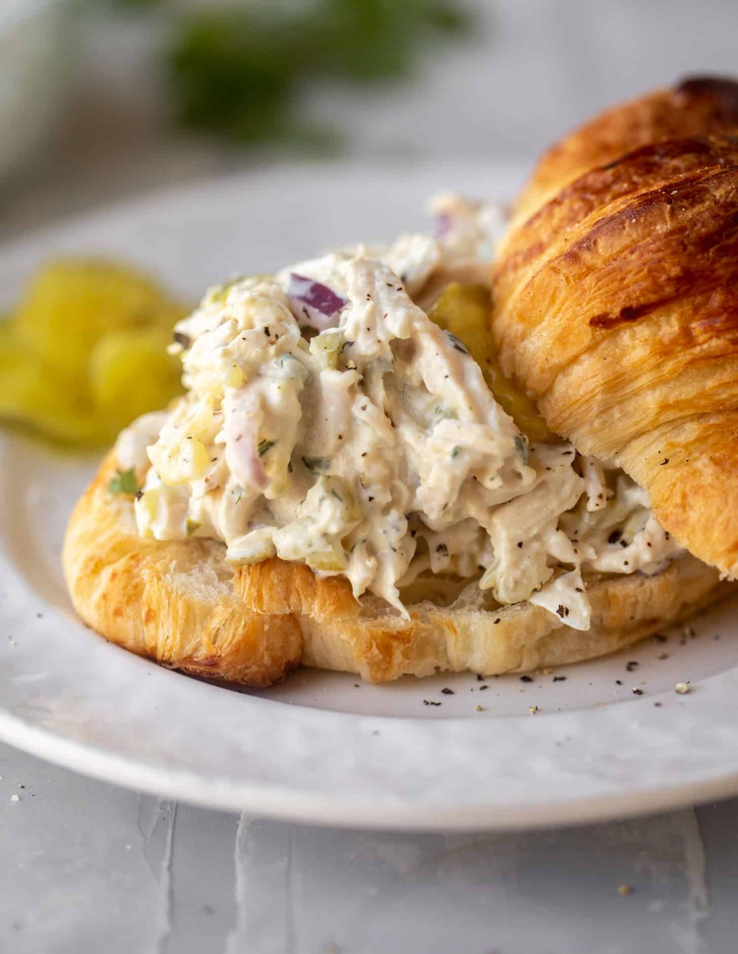 dill pickle chicken salad on a croissant