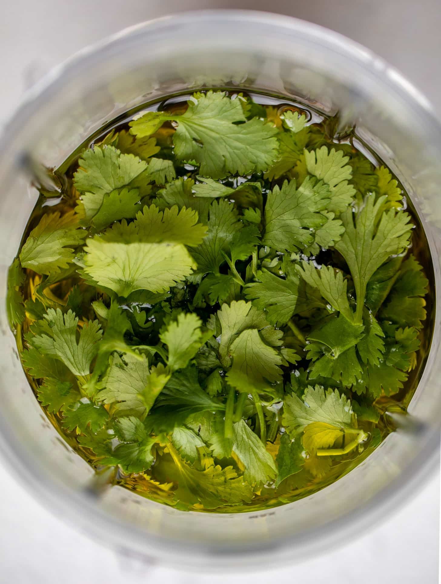 cilantro lime dressing
