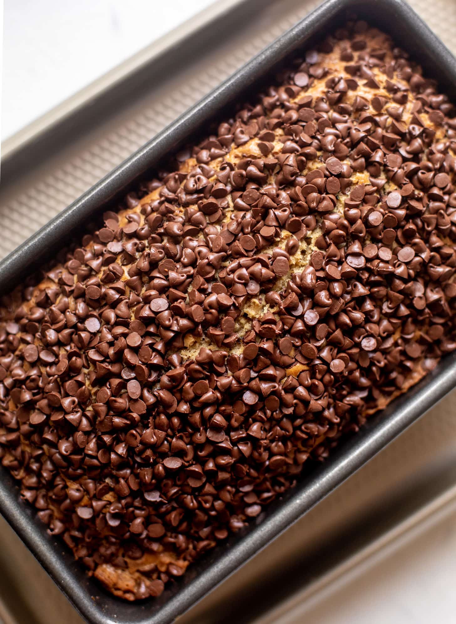 zucchini bread with chocolate chips