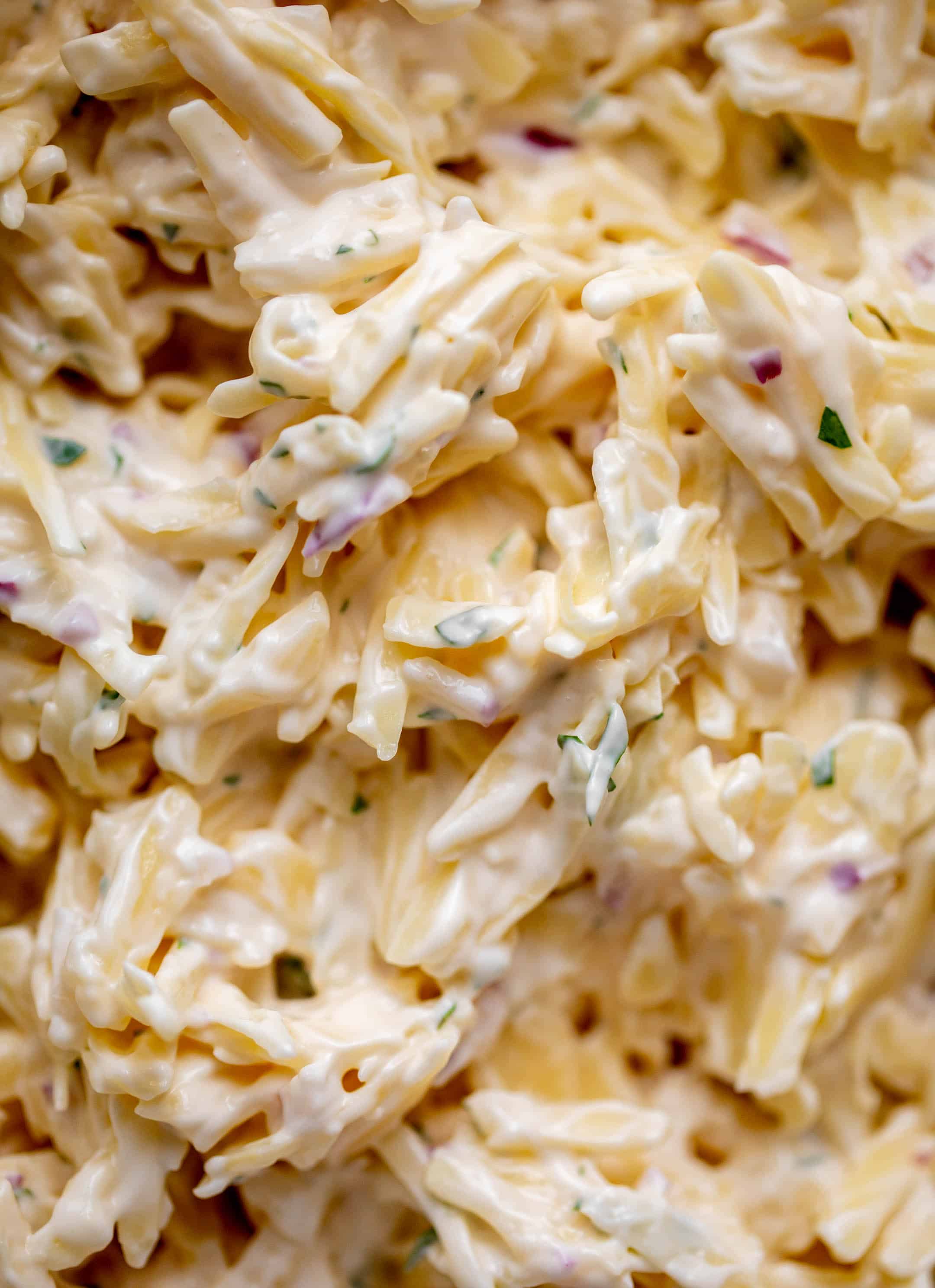up close jarlsberg cheese dip