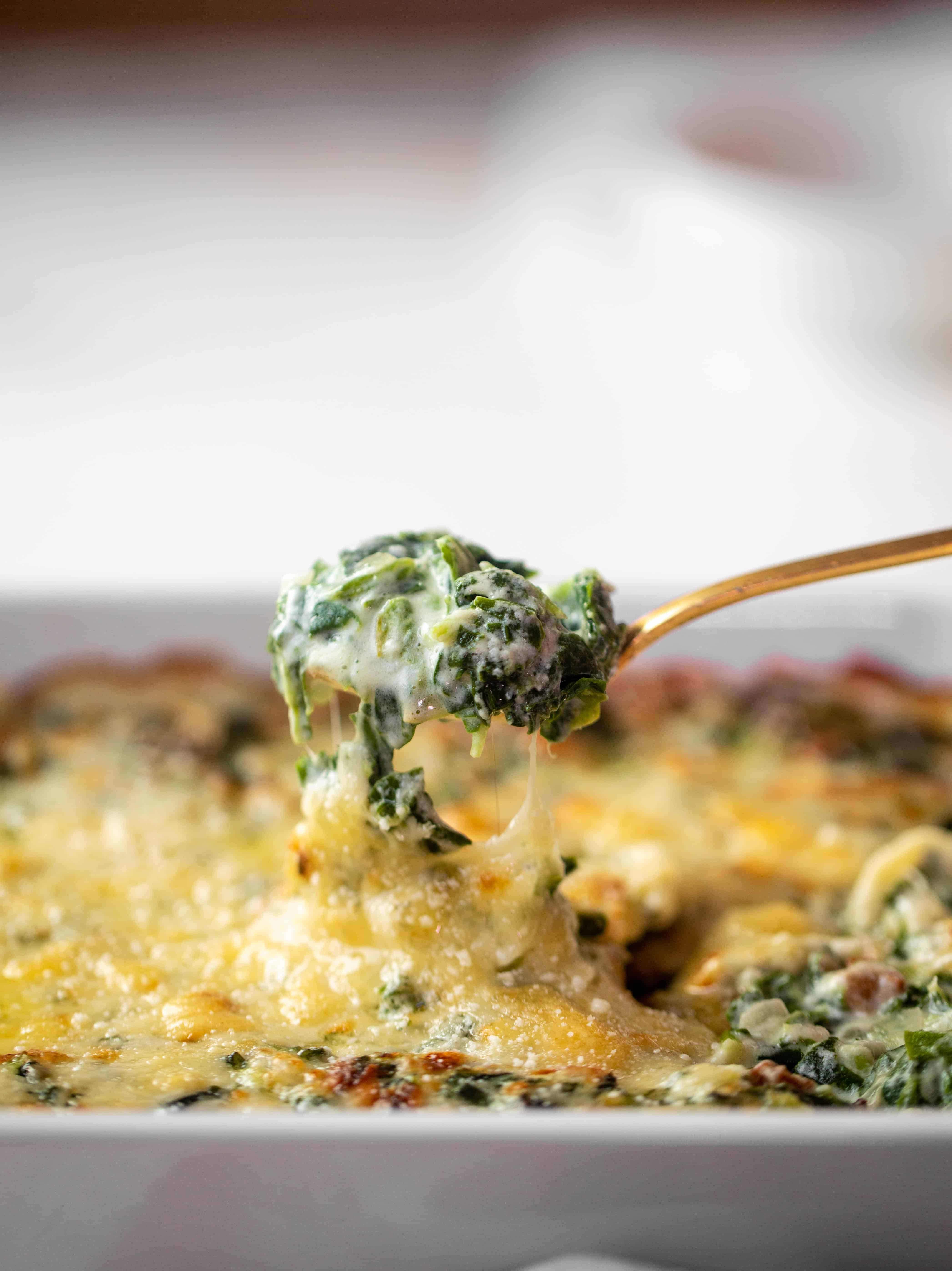 spinach gratin recipe