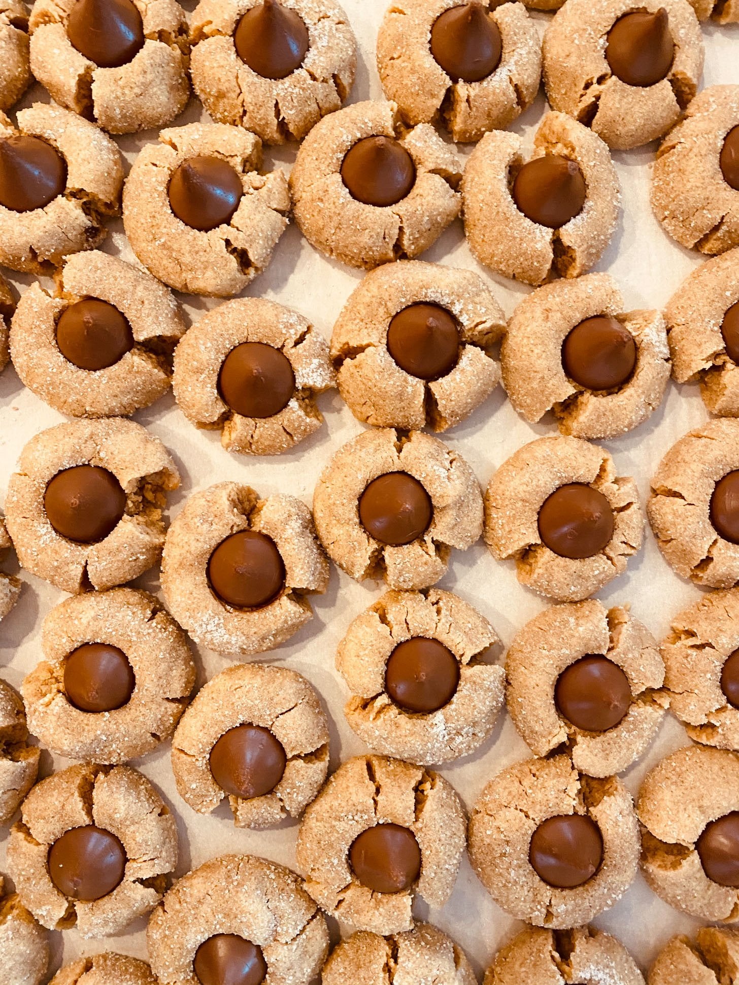 currently crushing on