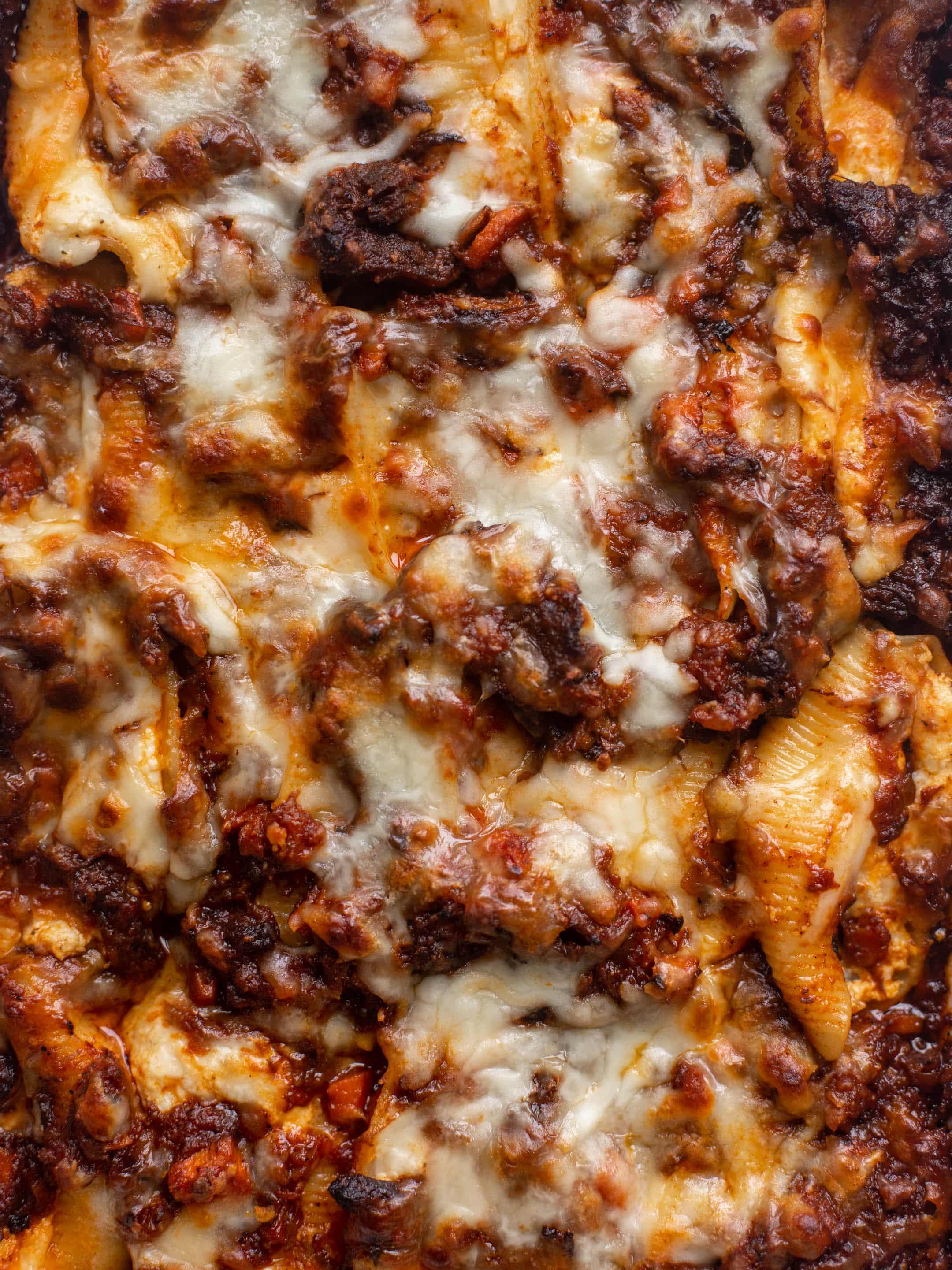 short rib stuffed shells