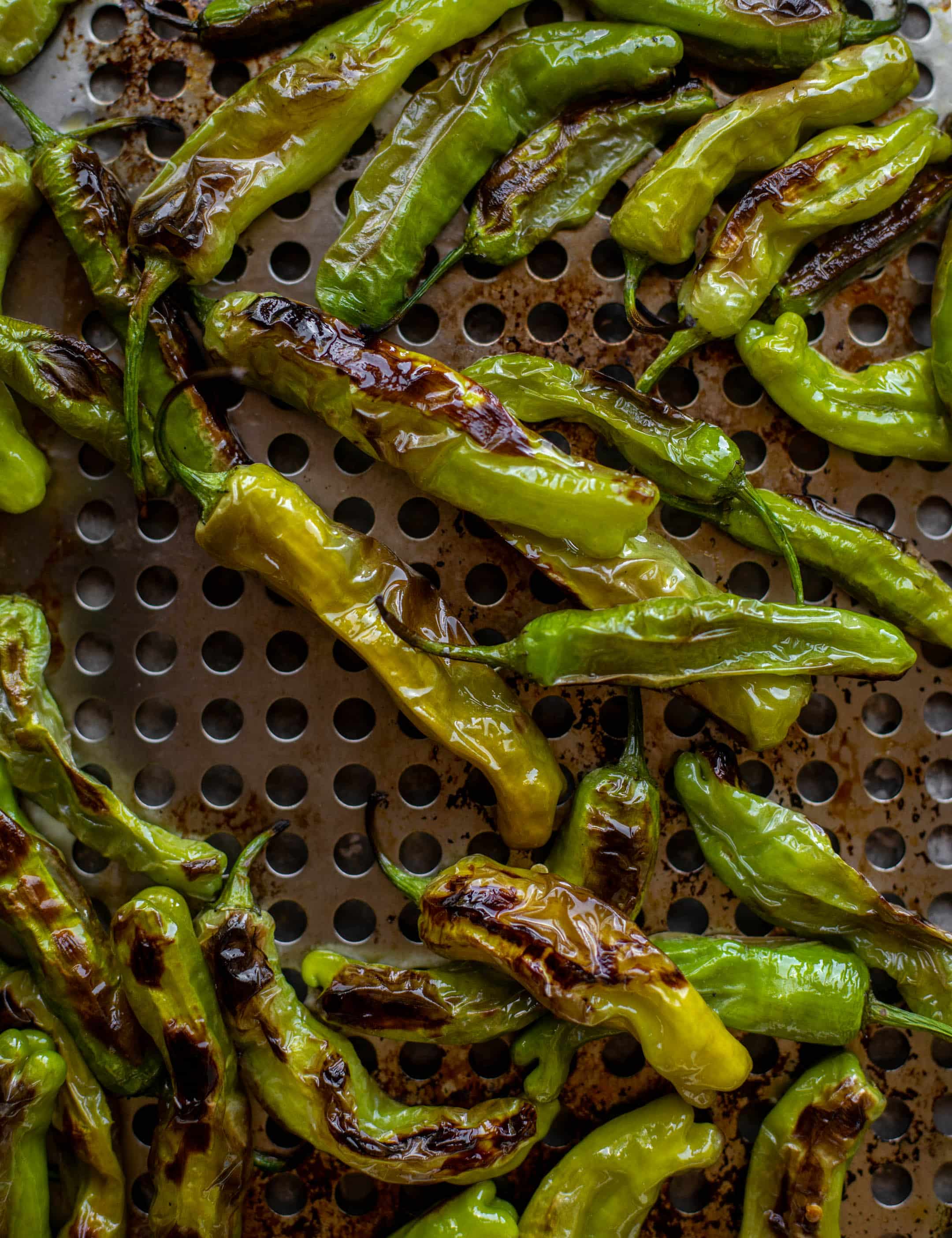 grilled shishito peppers