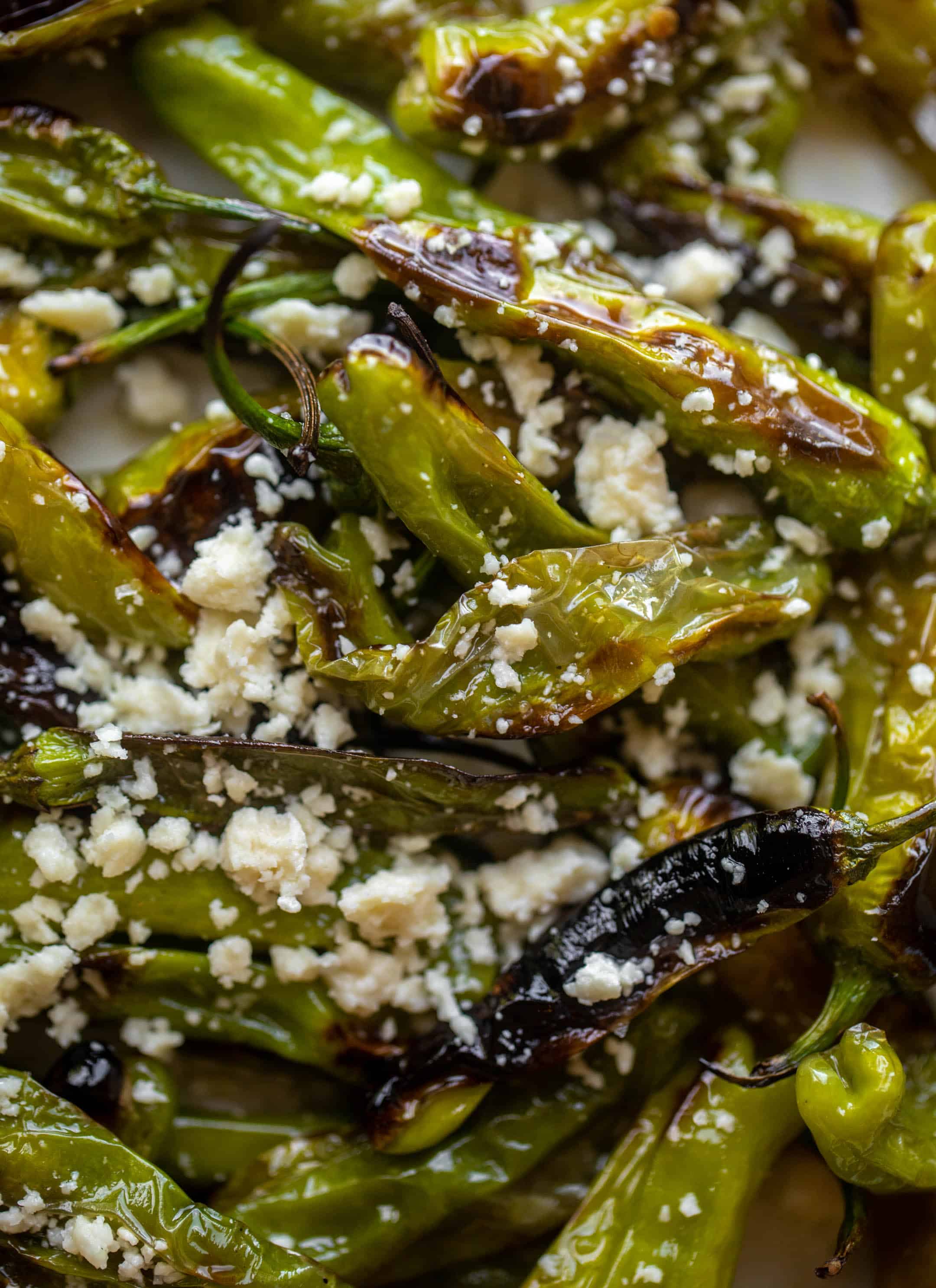 grilled shishito peppers