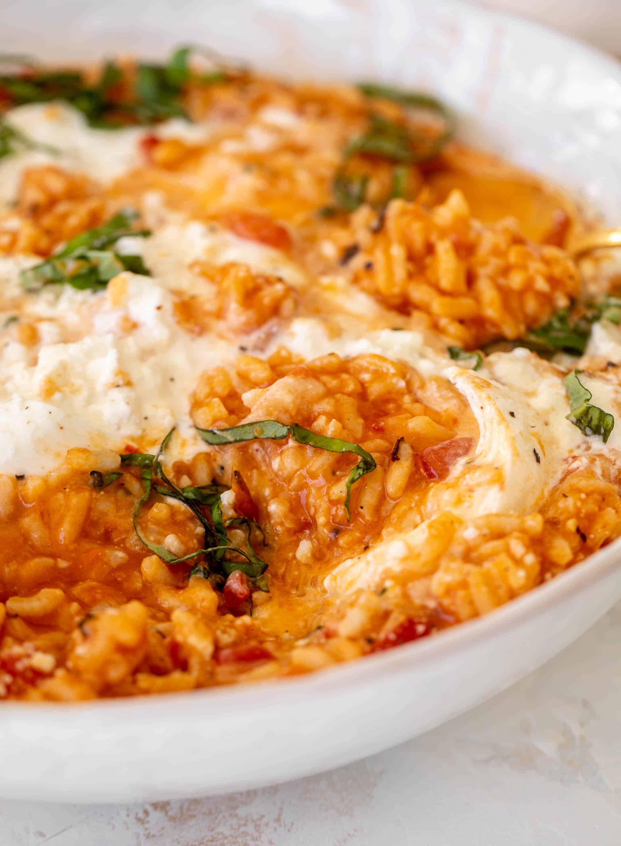 fire roasted tomato risotto with burrata