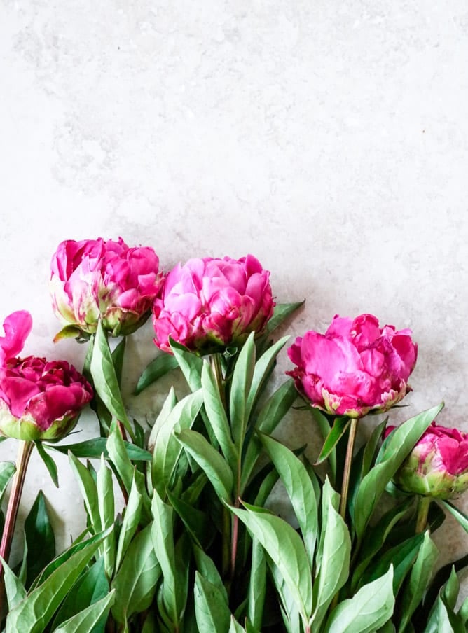 currently crushing on