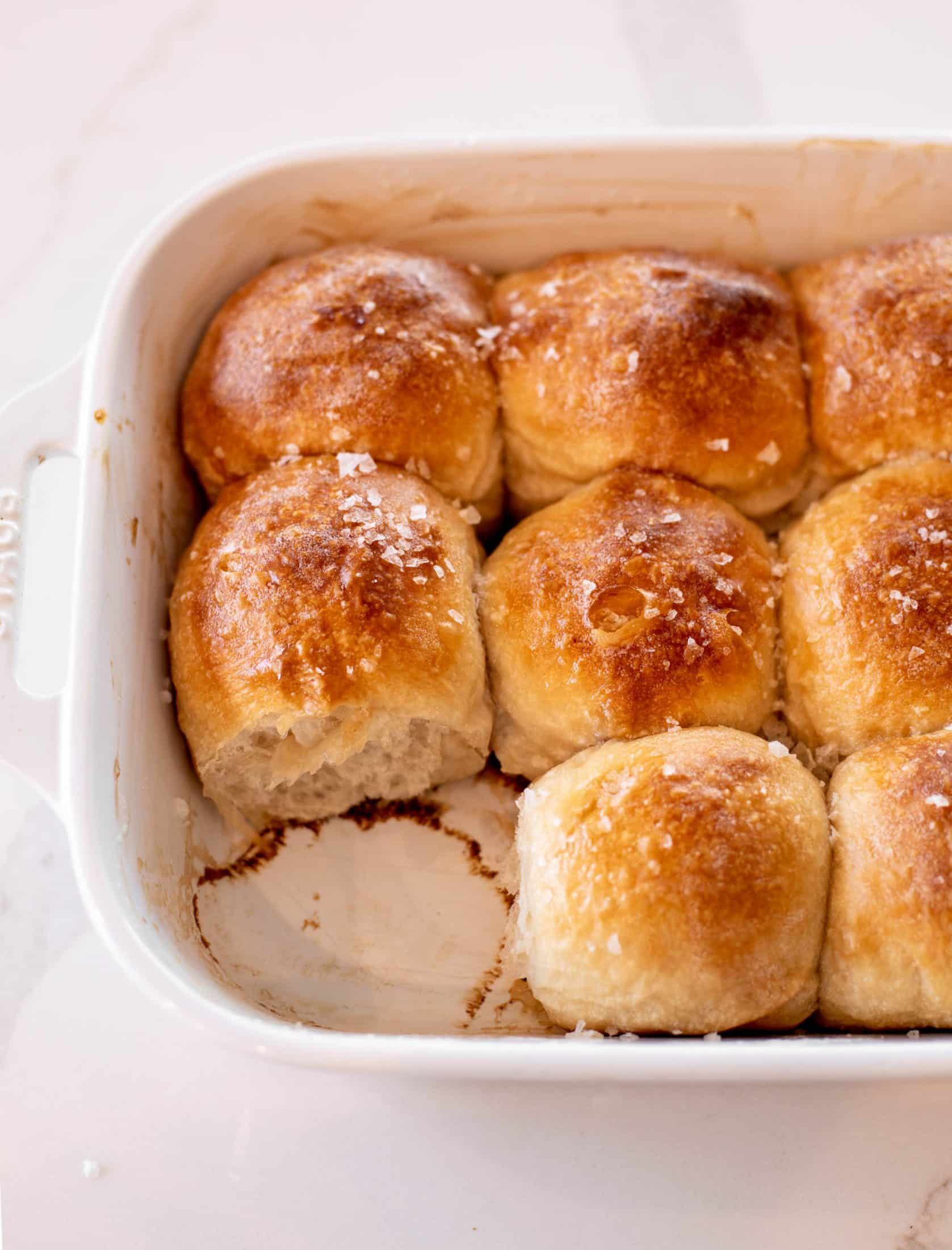 sourdough dinner rolls