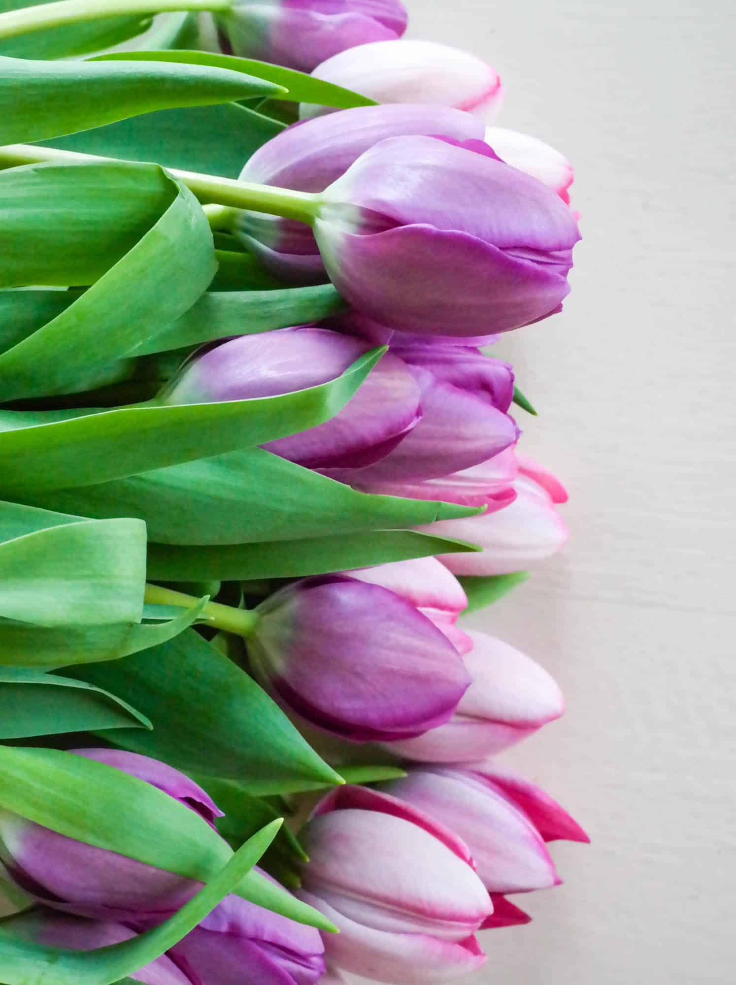 currently crushing on