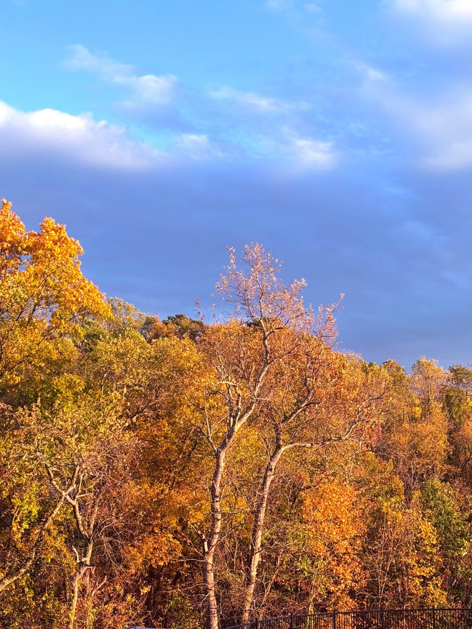 currently crushing on