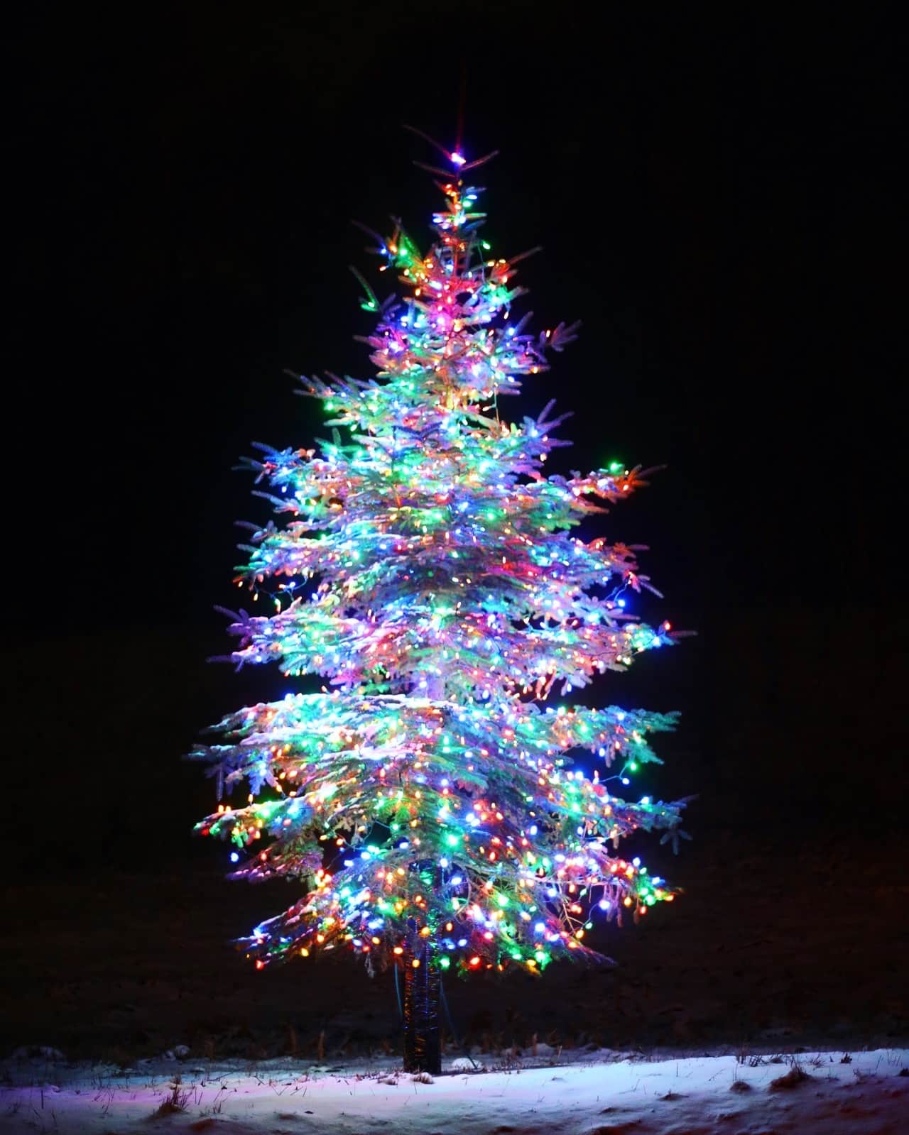 currently crushing on