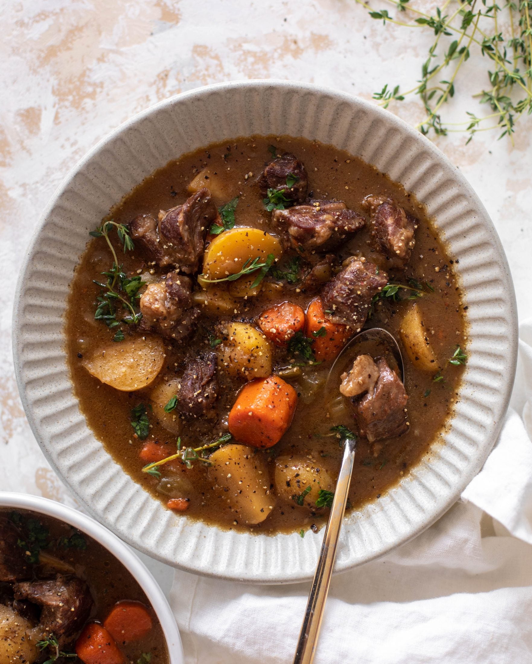 caramelized onion beef stew