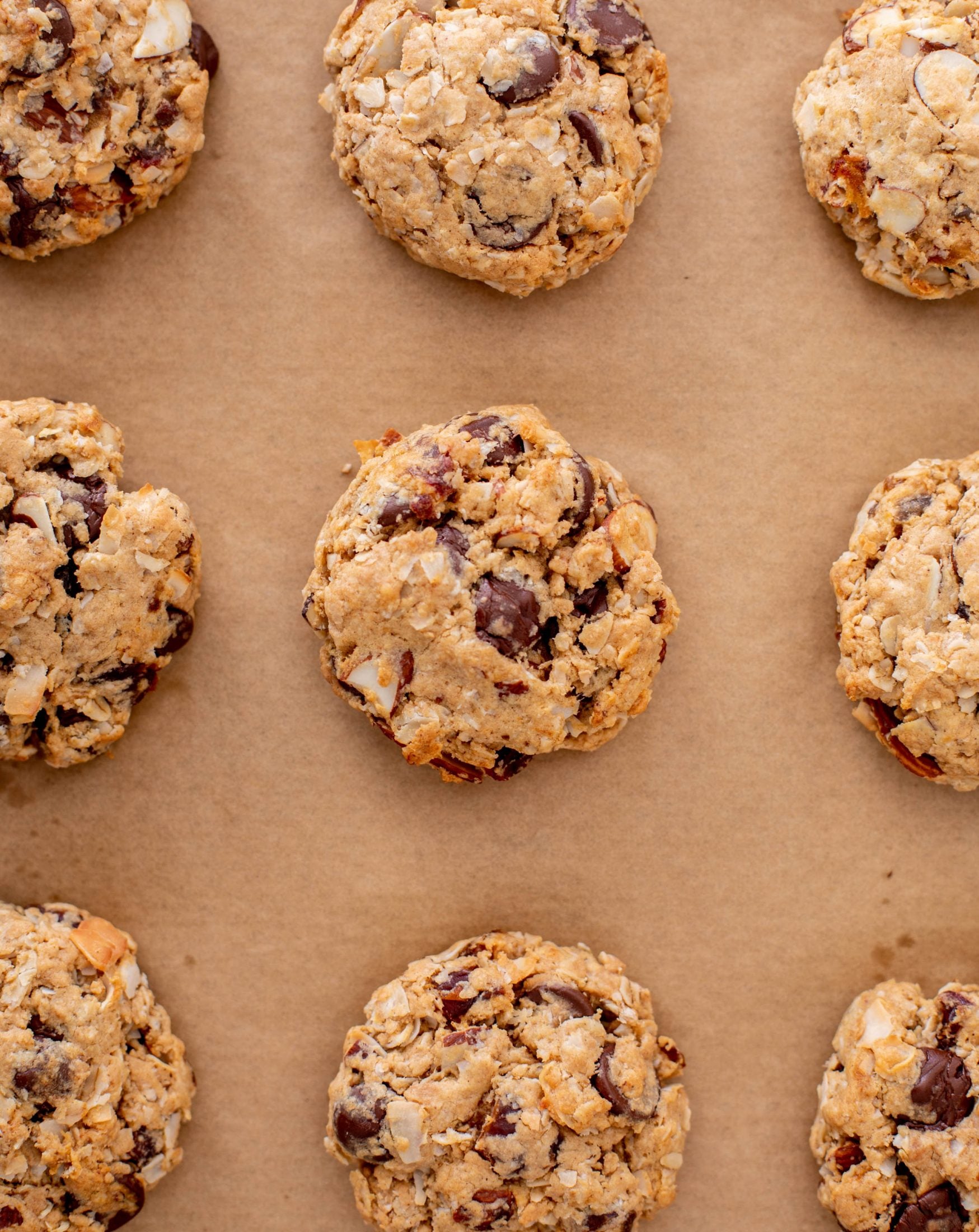 chocolate peanut butter breakfast cookies